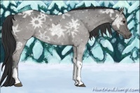 Horse Color:Black Ice Sabino Tobiano 