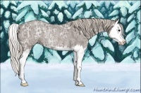 Horse Color:Silver Blue Ice Roan Splash Rabicano 