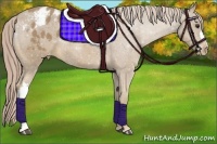 Horse Color:Palomino Varnish 