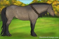 Horse Color:Brown Roan Dun Rabicano 