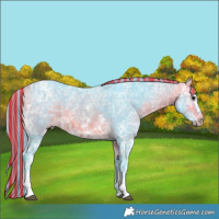 Horse Color:Painted Watercolor White Spotted Buckskin Ice