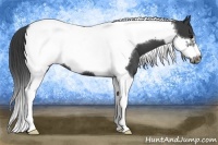 Horse Color:Smoky Black Tobiano Frame 