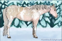 Horse Color:White Spotted Chocolate Silver Buckskin Ice