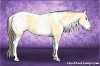 Horse Color:White Spotted Amber Cream Champagne Tobiano