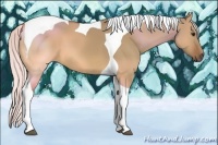 Horse Color:Silver Bay Dun Tobiano