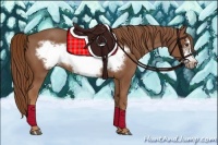 Horse Color:Chestnut Frame 