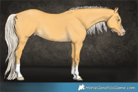 Horse Color:Silver Amber Cream Champagne Dun 