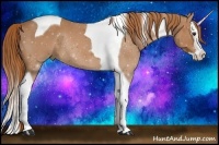 Horse Color:Chestnut Splash Tobiano Rabicano