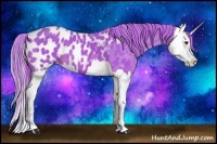 Horse Color:Watercolor Chestnut Splash Appaloosa 