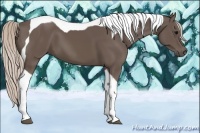 Horse Color:Silver Black Tobiano 