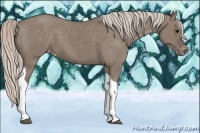 Horse Color:Silver Grullo Tobiano Appaloosa 
