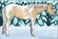 Horse Color:Silver Buckskin Dun Tobiano 