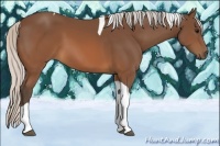 Horse Color:Silver Brown Tobiano 