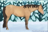 Horse Color:Amber Champagne Sabino 