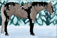 Horse Color:Silver Black Splash Tobiano 