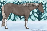 Horse Color:Silver Black Tobiano
