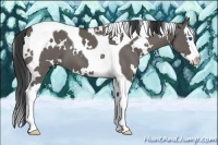 Horse Color:White Spotted Grullo Splash Tobiano 