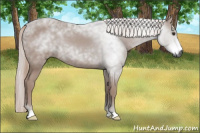 Horse Color:Gray Liver Chestnut 