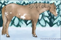 Horse Color:White Spotted Liver Chestnut Pearl Frame 
