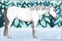 Horse Color:White Spotted Blue Roan Splash Blanket Rabicano 