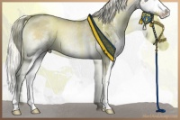 Horse Color:White Spotted Liver Red Onyx Pearl Sabino Splash 