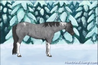 Horse Color:Blue Roan Tobiano Varnish