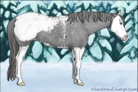 Horse Color:Blue Roan Splash Snowcap 
