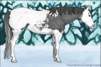 Horse Color:Blue Roan Splash Near Fewspot 