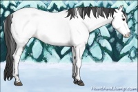 Horse Color:Blue Roan Fewspot