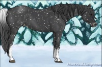 Horse Color:White Spotted Blue Roan Snowflake Varnish