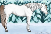 Horse Color:Liver Chestnut Near Fewspot 