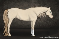 Horse Color:Smoky Creme Dun 