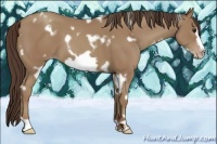 Horse Color:White Spotted Classic Champagne Frame 