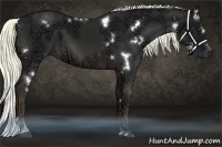 Horse Color:White Spotted Liver Chestnut Ice Sabino 