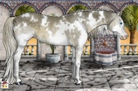 Horse Color:White Spotted Liver Chestnut Splash Rabicano