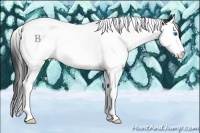 Horse Color:Black Splash Tobiano