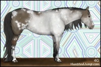 Horse Color:White Spotted Liver Red Dun Sabino