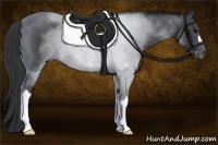 Horse Color:Blue Roan 