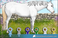 Horse Color:Smoky Black Sabino Near Leopard 