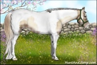 Horse Color:Plaid Liver Red Onyx Pearl Tobiano