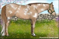 Horse Color:White Spotted Liver Chestnut Pearl 