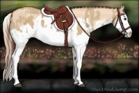 Horse Color:Red Dun Splash  and Gold Champagne Dun Splash 