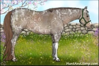 Horse Color:Liver Chestnut Ice 