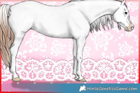 Horse Color:White Spotted Bay Sabino Appaloosa 