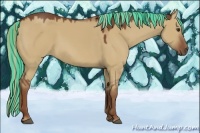 Horse Color:Painted Red Dun 