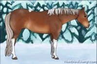 Horse Color:Silver Brown Tobiano 