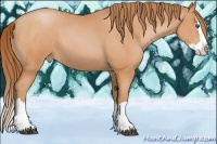 Horse Color:Brown Pearl Splash
