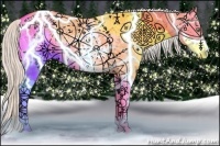 Horse Color:White Spotted Silver Classic Champagne Dun Sabino Splash