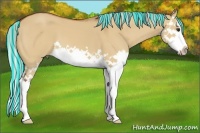 Horse Color:Painted Silver Bay Dun Splash 
