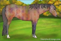 Horse Color:Nacre Brown